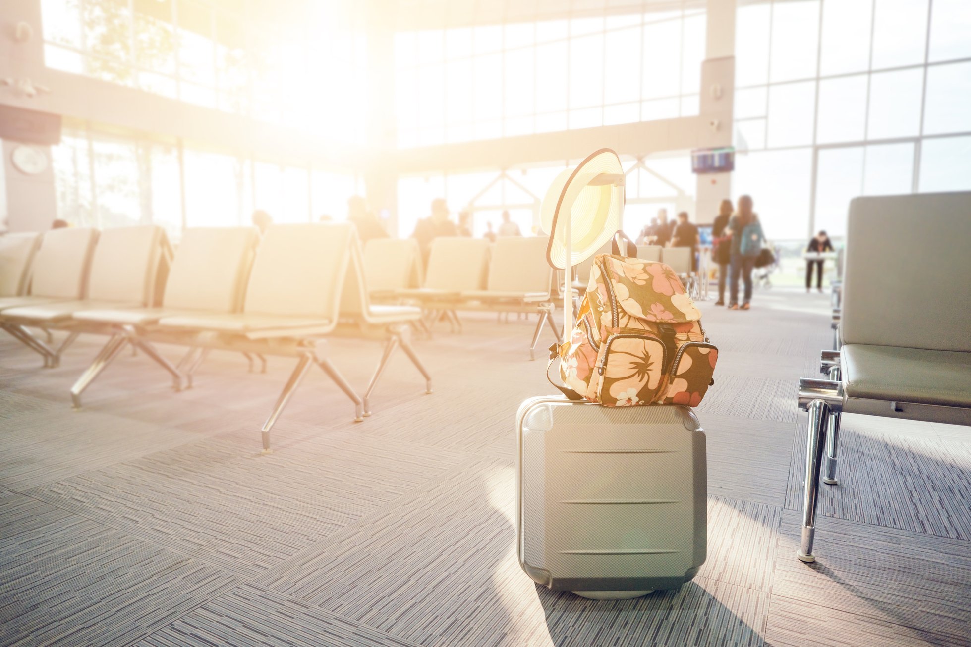 travel luggage with passenger